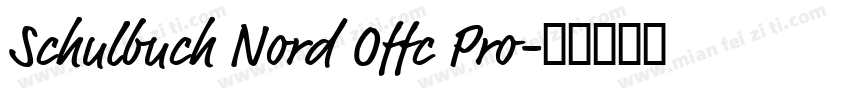 Schulbuch Nord Offc Pro字体转换